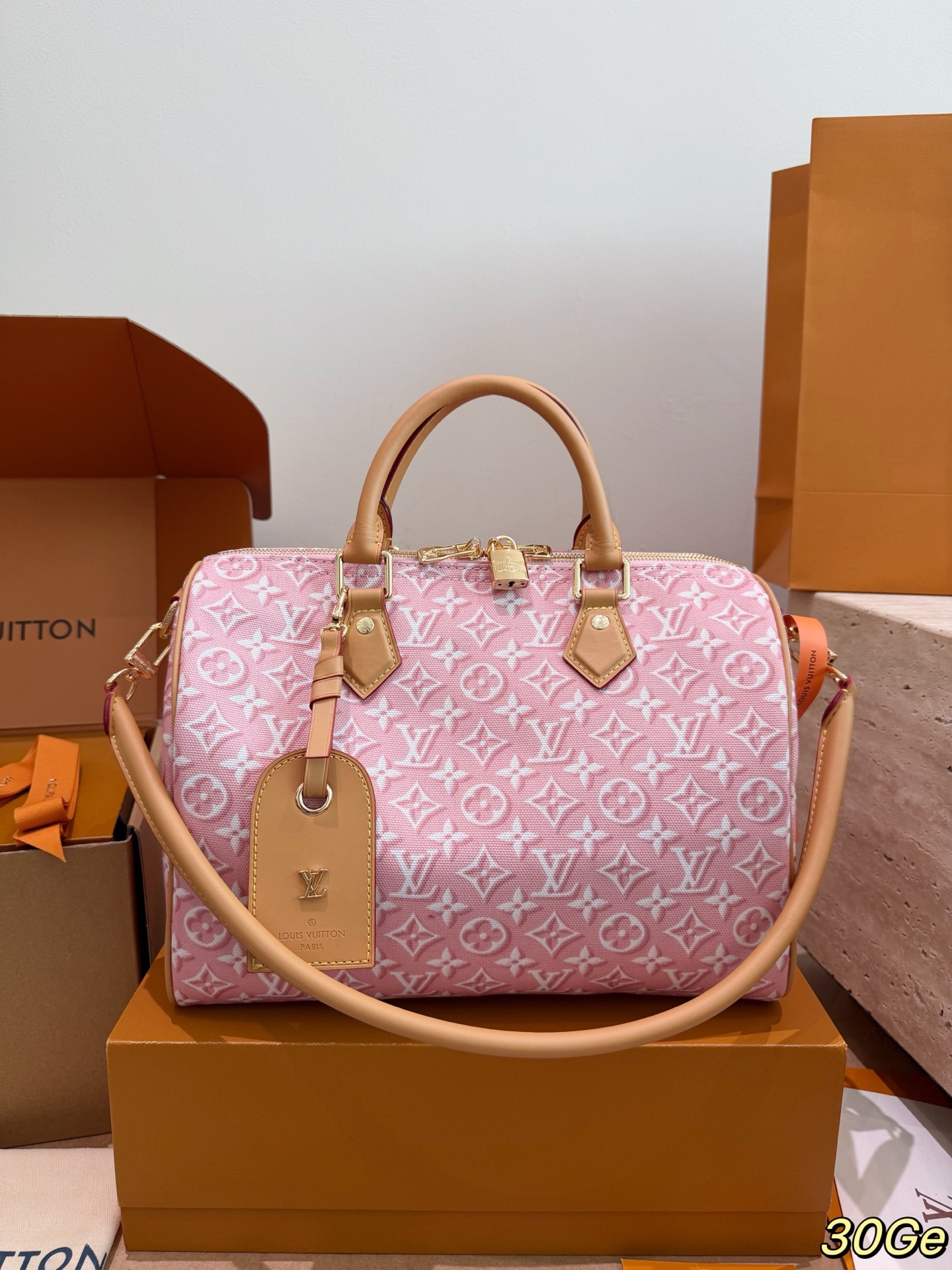 Louis Vuitton LV Speedy Handbag Monogram Canvas